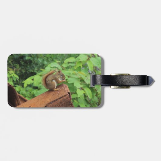Camouflage-Eichhörnchen Gepäckanhänger (Rückseite horizontal)