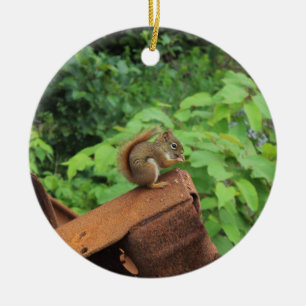 Camouflage-Eichhörnchen Keramik Ornament