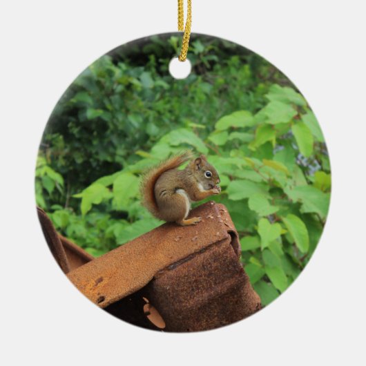Camouflage-Eichhörnchen Keramik Ornament (Vorne)