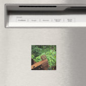 Camouflage-Eichhörnchen Magnet (In Situ (Geschirrspüler))