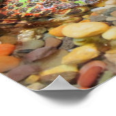 Camouflage Frog Poster (Ecke)