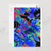 Camouflage Frog Postkarte (Vorne/Hinten)