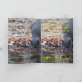 Camouflage funktioniert schließlich nicht karte (Innenseite)