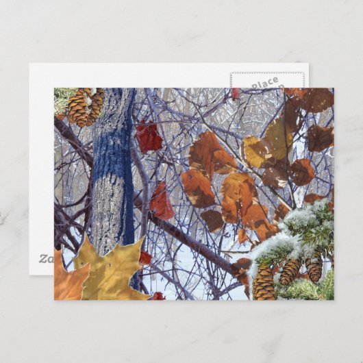 Camouflage für den ersten Schneewinterwald Postkarte (Vorne/Hinten)