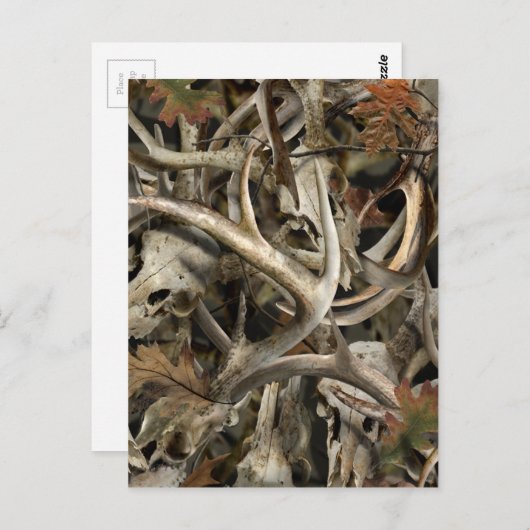Camouflage Hirschschädel Postkarte (Vorne/Hinten)