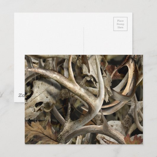 Camouflage Hirschschädel Postkarte (Vorne/Hinten)