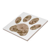 Camouflage in Not Fliese (Seite)