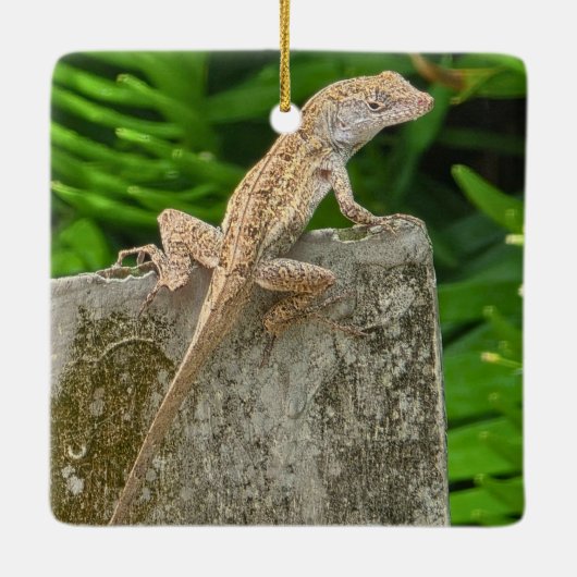 Camouflage Master Keramikornament (Rückseite)