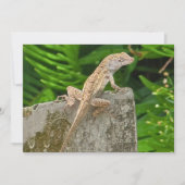 Camouflage Master Mitteilungskarte (Vorderseite)