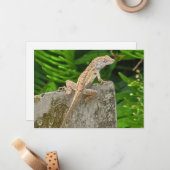 Camouflage Master Mitteilungskarte (Vorderseite/Rückseite Beispiel)