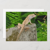 Camouflage Master Mitteilungskarte (Vorne/Hinten)