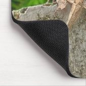 Camouflage Master Mousepad (Ecke)