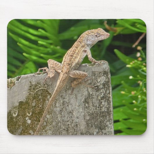 Camouflage Master Mousepad (Vorne)