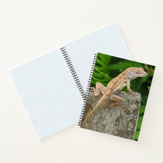 Camouflage Master Notizblock (Innenseite)