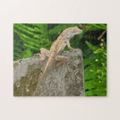 Camouflage Master Puzzle (Horizontal)