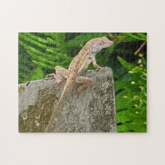 Camouflage Master Puzzle (Horizontal)