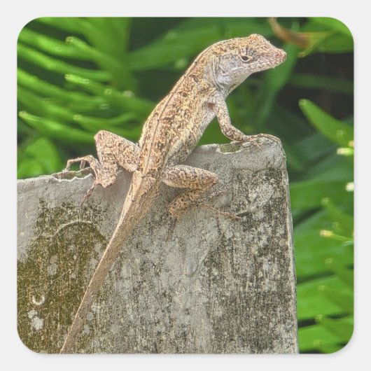 Camouflage Master Quadratischer Aufkleber (Vorderseite)