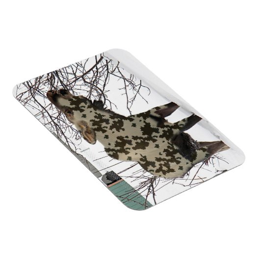 Camouflage Moose Magnet (Rechte Seite)