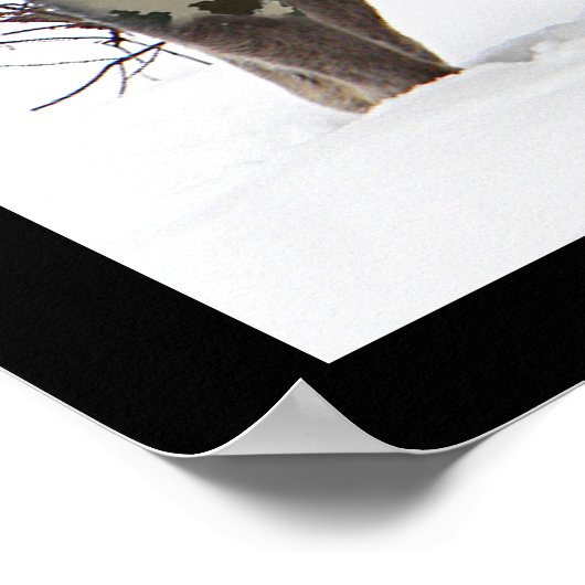 Camouflage Moose Poster (Ecke)