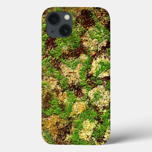 Camouflage Moss rostgealterter Grunge Alte Textur Case-Mate iPhone Hülle (Rückseite)