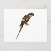 Camouflage Parakeet Silhouette Postkarte (Vorderseite)