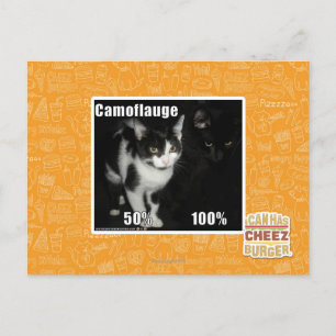 Camouflage Postkarte