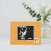 Camouflage Postkarte (Stehend Vorderseite)