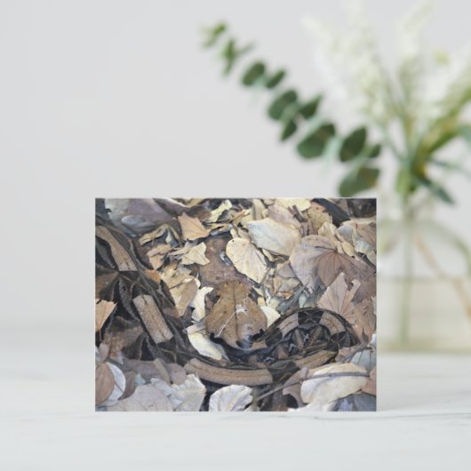 Camouflage-Schlange Postkarte (Stehend Vorderseite)