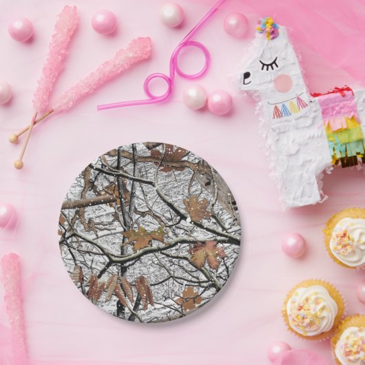 Camouflage-Schneepult 2 Pappteller (Party)