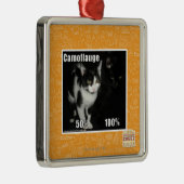 Camouflage Silbernes Ornament (Rechts)