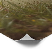 Camouflage, Tennis Ball, And Tactical Paws Poster (Ecke)