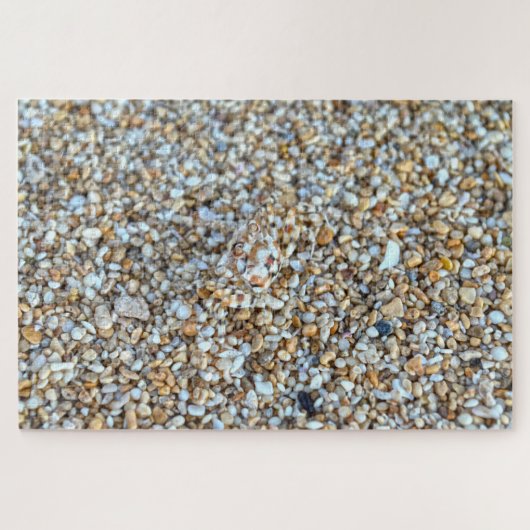 Camouflaged Ghost Crab an einem Kauai Beach, Hawai Puzzle (Horizontal)