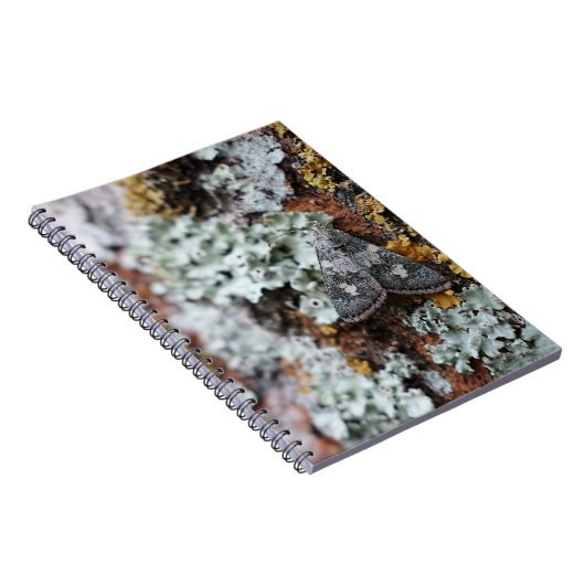 Camouflaged Lichen Moth Notebook Notizblock (Rechte Seite)