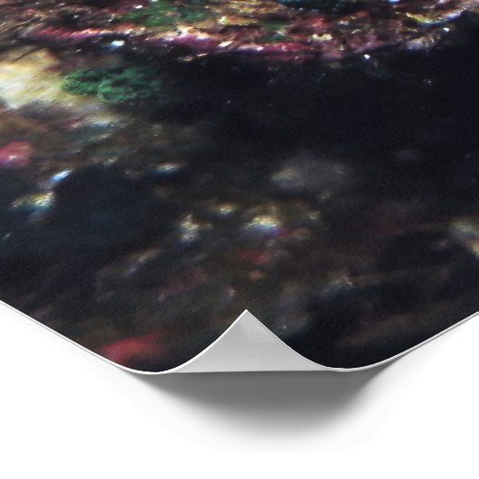 Camouflaged Scorpionfish Poster (Ecke)