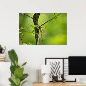 Camouflated Common Green Darner Dragonfly Poster (Heimbüro)