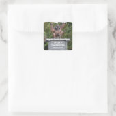 Camp Leakey Tanjung Puting Nationalpark Quadratischer Aufkleber (Tasche)