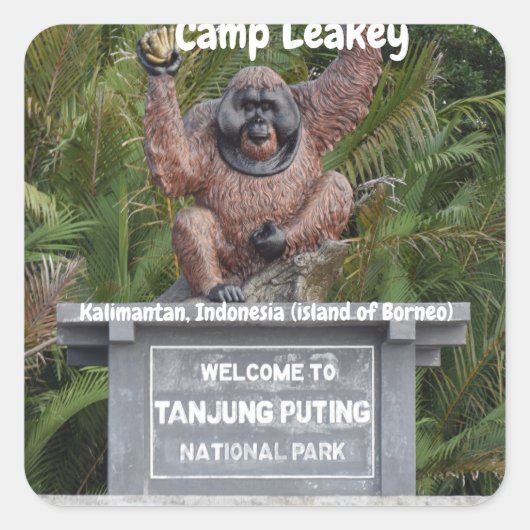 Camp Leakey Tanjung Puting Nationalpark Quadratischer Aufkleber (Vorderseite)