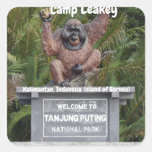 Camp Leakey Tanjung Puting Nationalpark Quadratischer Aufkleber