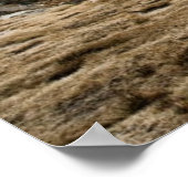 Camp Rae Lakes Poster (Ecke)