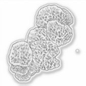 Campamalia-Pilzsticker Aufkleber (Vorderseite)