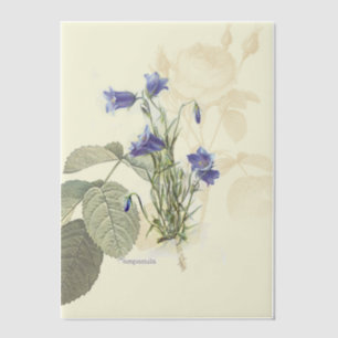 Campanula Bluebell Botanische Overlay Pergament Einladungen