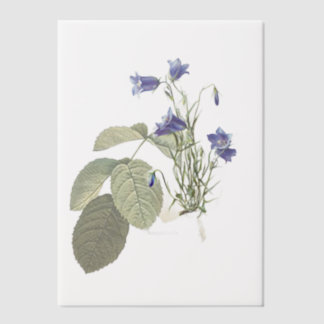 Campanula Bluebell Botanische Overlay Pergament Einladungen