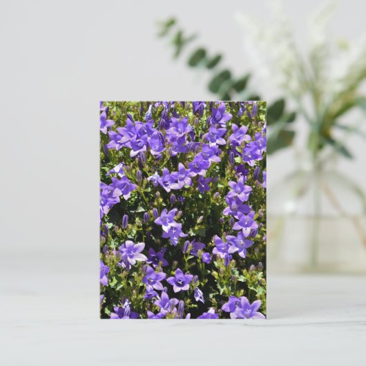 Campanula-Blume Postkarte (Stehend Vorderseite)