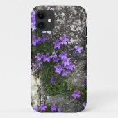 Campanula-Blume wachsen auf einer Mauer Case-Mate iPhone Hülle (Rückseite)
