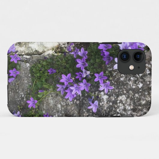 Campanula-Blume wachsen auf einer Mauer Case-Mate iPhone Hülle (Rückseite (Horizontal))
