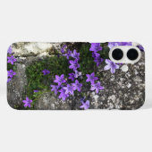 Campanula-Blume wachsen auf einer Mauer Case-Mate iPhone Hülle (Rückseite (Horizontal))