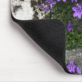 Campanula-Blume wachsen auf einer Mauer Mousepad (Ecke)