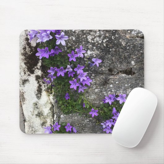 Campanula-Blume wachsen auf einer Mauer Mousepad (Mit Mouse)