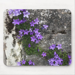 Campanula-Blume wachsen auf einer Mauer Mousepad