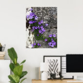 Campanula-Blume wachsen auf einer Mauer Poster (Heimbüro)